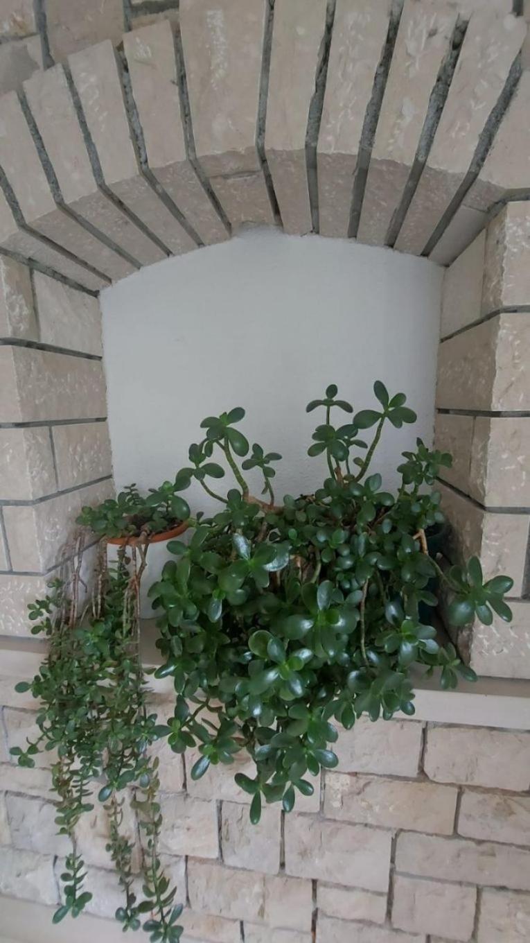 Apartment Brane Bol Exterior photo